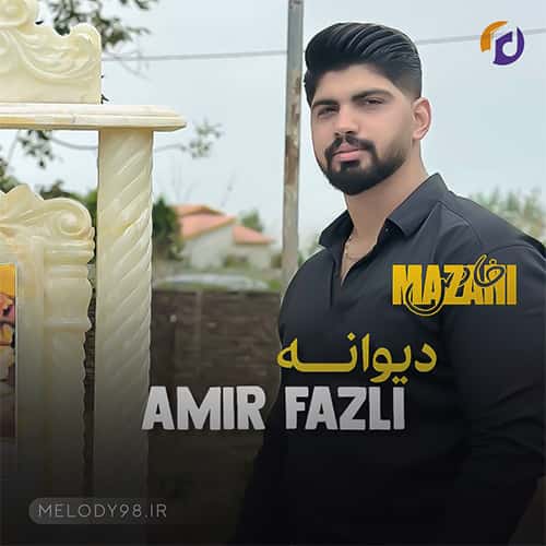 دانلود آهنگ امیر فضلی حال که دیوانه بومه شونی دانلود آهنگ امیر فضلی حال که دیوانه بومه شونی
