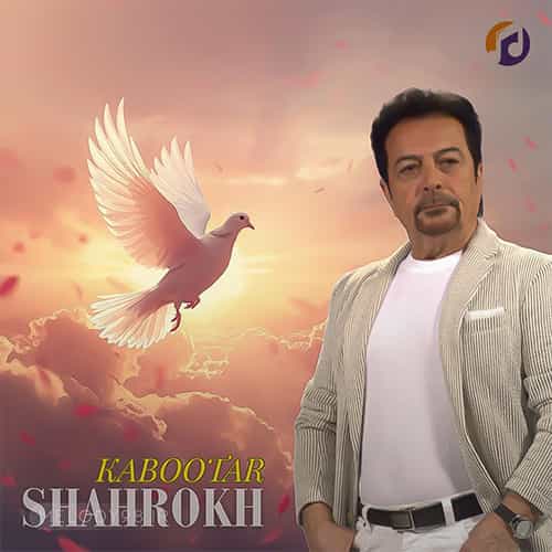 دانلود آهنگ شاهرخ کبوتر دانلود آهنگ شاهرخ کبوتر